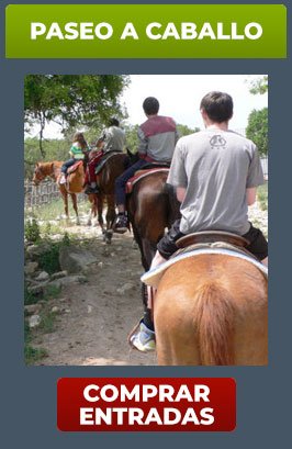 CAJA PASEO A CABALLO